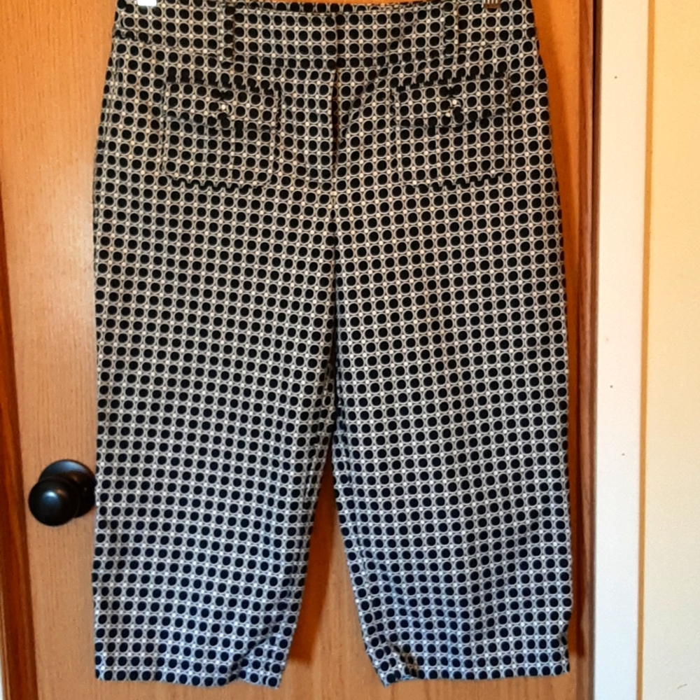 Ann Taylor "Margo" Capri Pants